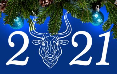 С Новым 2021 Годом и Рождеством! С Новым 2021 Годом и Рождеством!