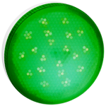 Лампа сд GX53 8,0W 220V ЗЕЛЕНЫЙ матовое стекло (композит) 28x74  Ecola Tablet color